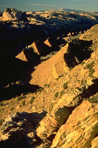 Tilted Strata, Paradise Canyon