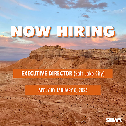 Now Hiring (Executive Director)