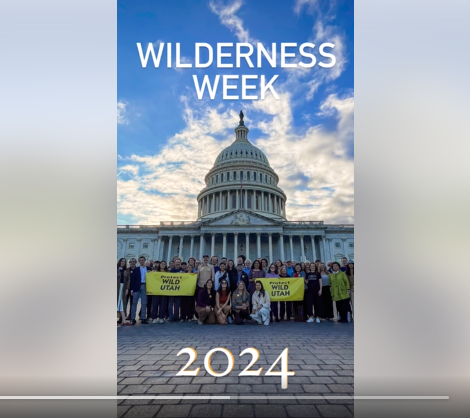 Captura de pantalla del vídeo de la Semana de la Naturaleza 2024
